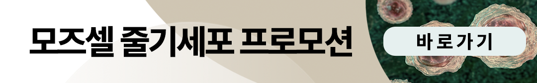 이벤트 이미지